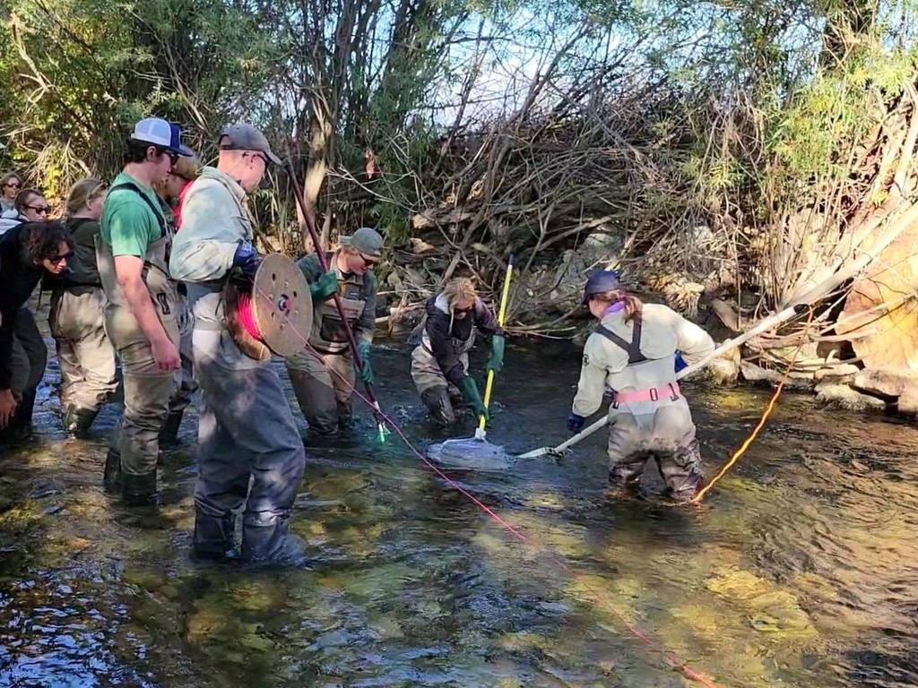 McKinley Murray and Cole Kimzeywork with fisheries biologists, Jason Lindstrom and Leslie Nyce, to net trout on Skalkaho Creek using electrofishing methods. 