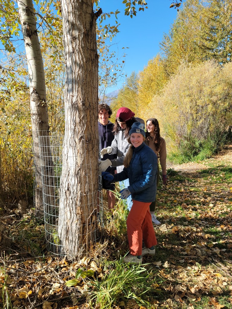 Meakin Vermillion and Colin Hanley secure fencing around the base of a tree at Hieronymus Park to help City Parks Director, Amy Fox, deter beaver activity. 
